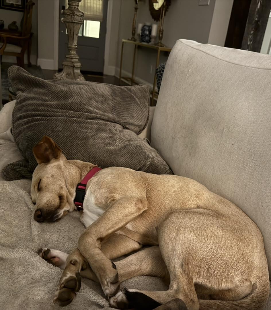 Photo of Charlotte