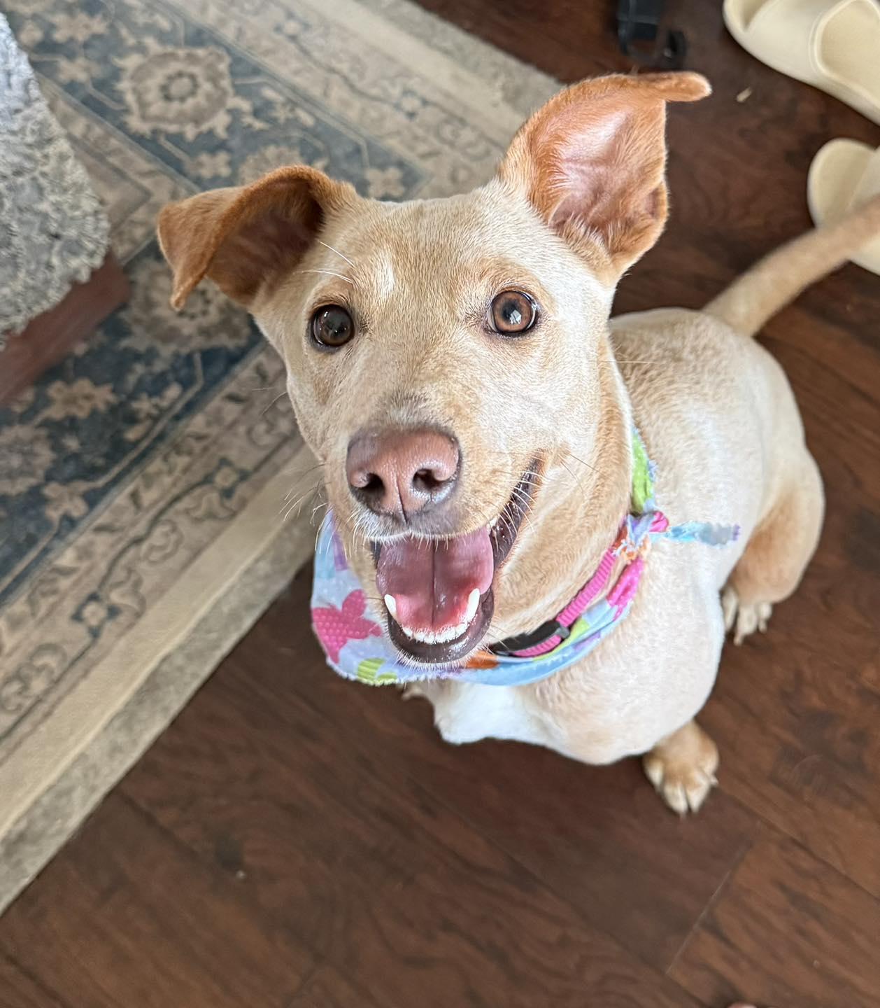 Photo of Charlotte