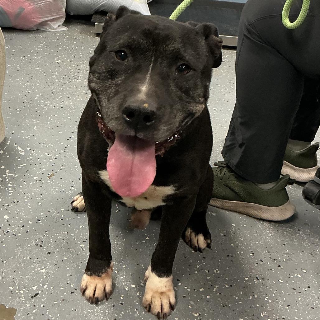 Conscious thumbnail 2