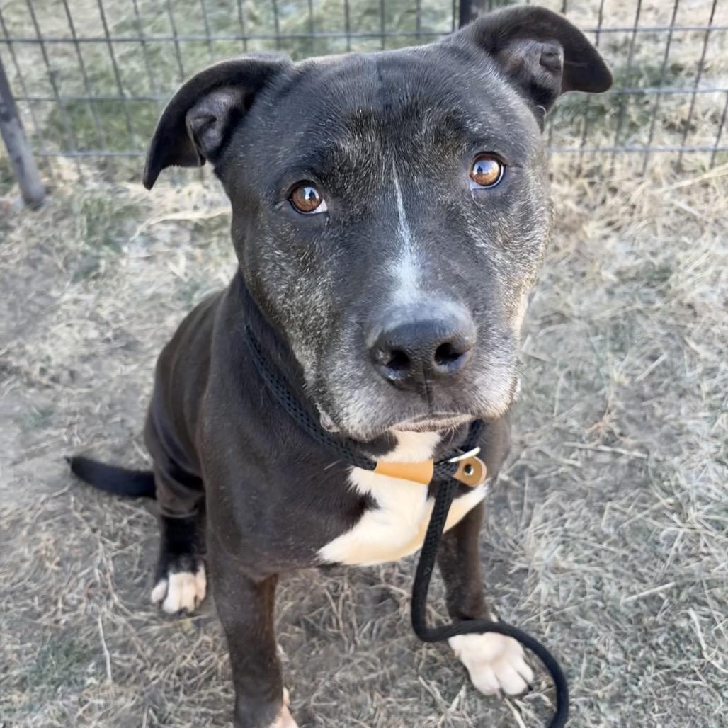 Conscious thumbnail 3