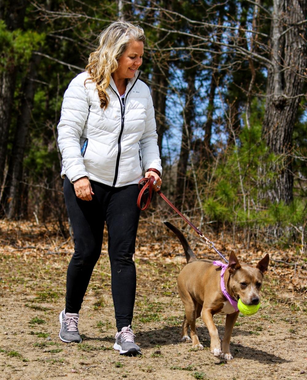 Enlarge Stella, a ADOPTABLE mixed breed in Cheboygan, MI image 4/6