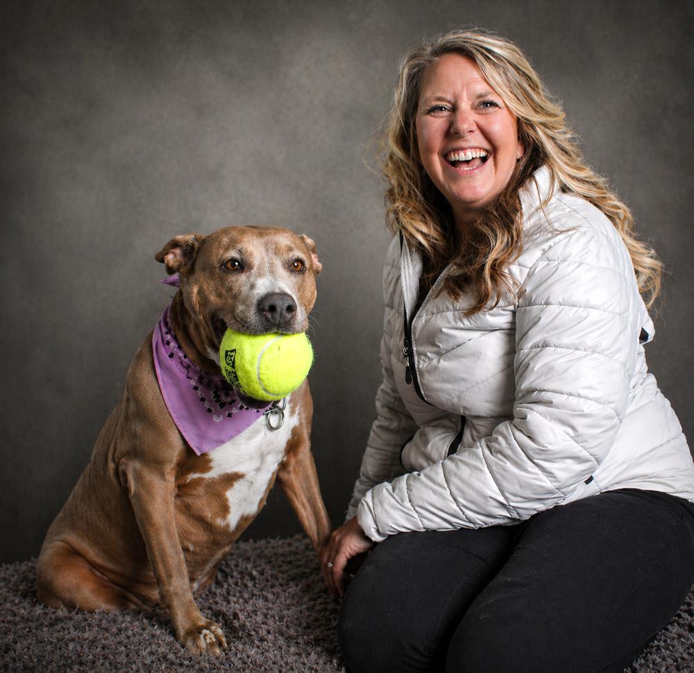Stella, ADOPTABLE, Adult Female American Staffordshire Terrier & Labrador Retriever.