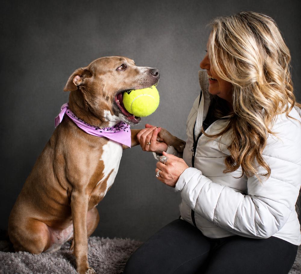 Enlarge Stella, a ADOPTABLE mixed breed in Cheboygan, MI image 2/6