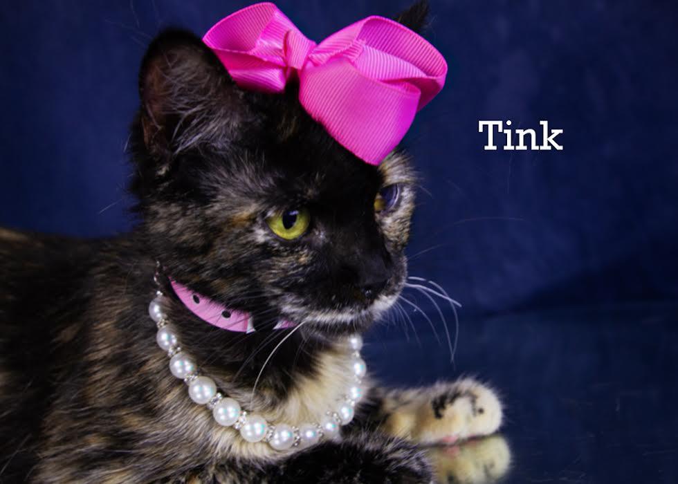 Tink photo