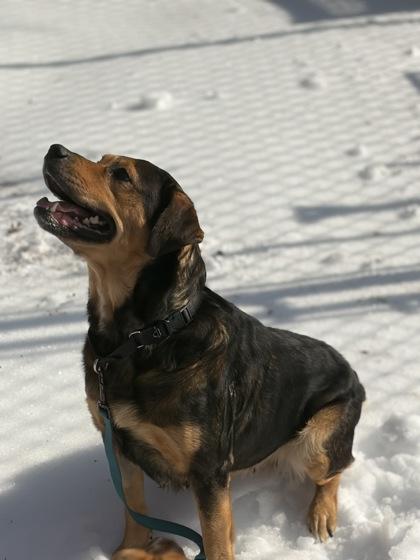 Sugar Cookie Latte — thumbnail 2