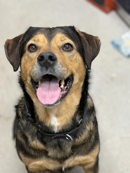 Sugar Cookie Latte — thumbnail 3