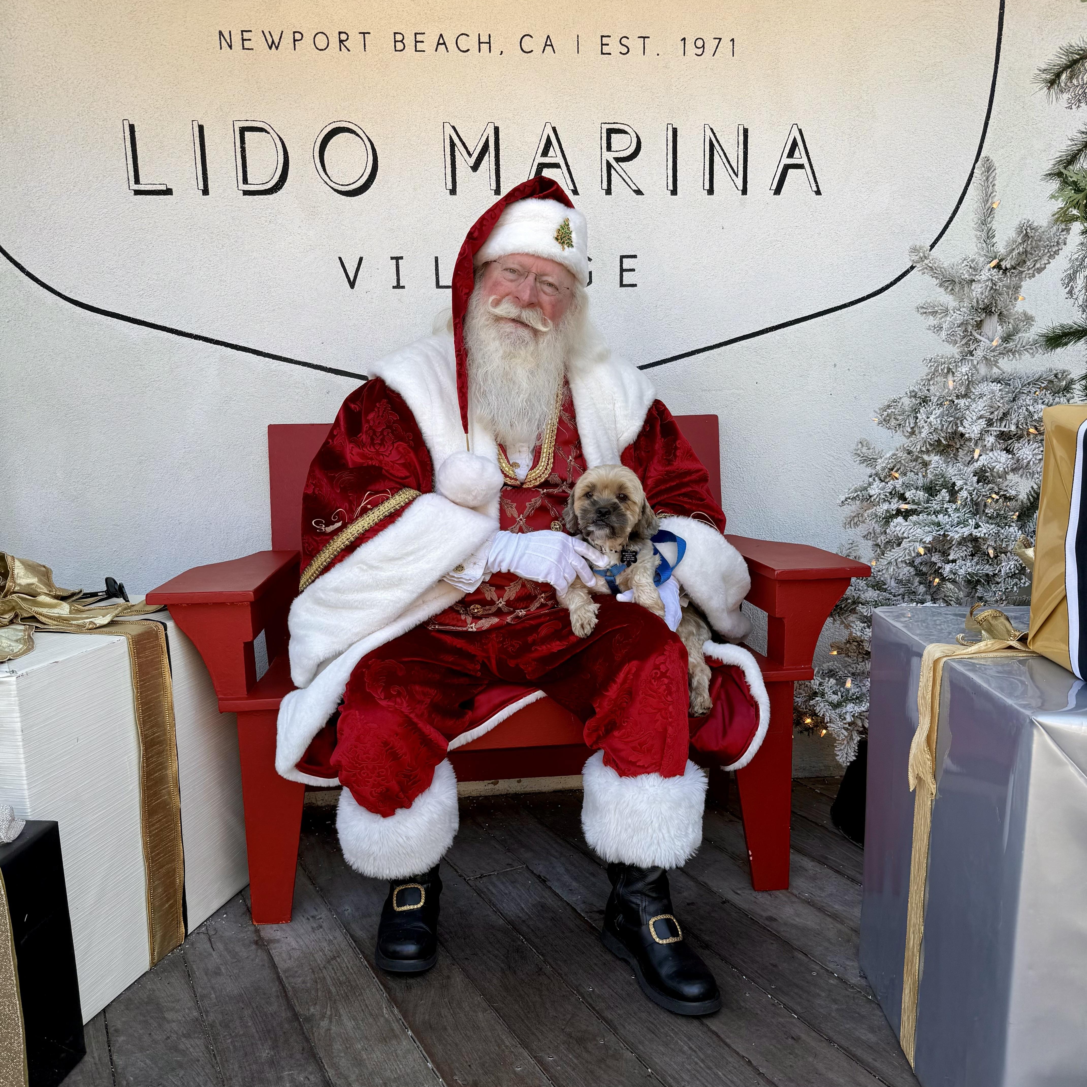 Watson, a ADOPTABLE mixed breed in Long Beach, CA image 3/6