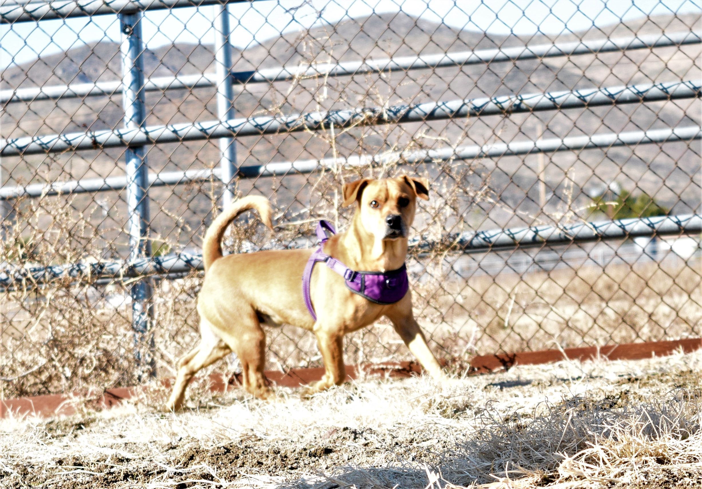 Dewey photo 3