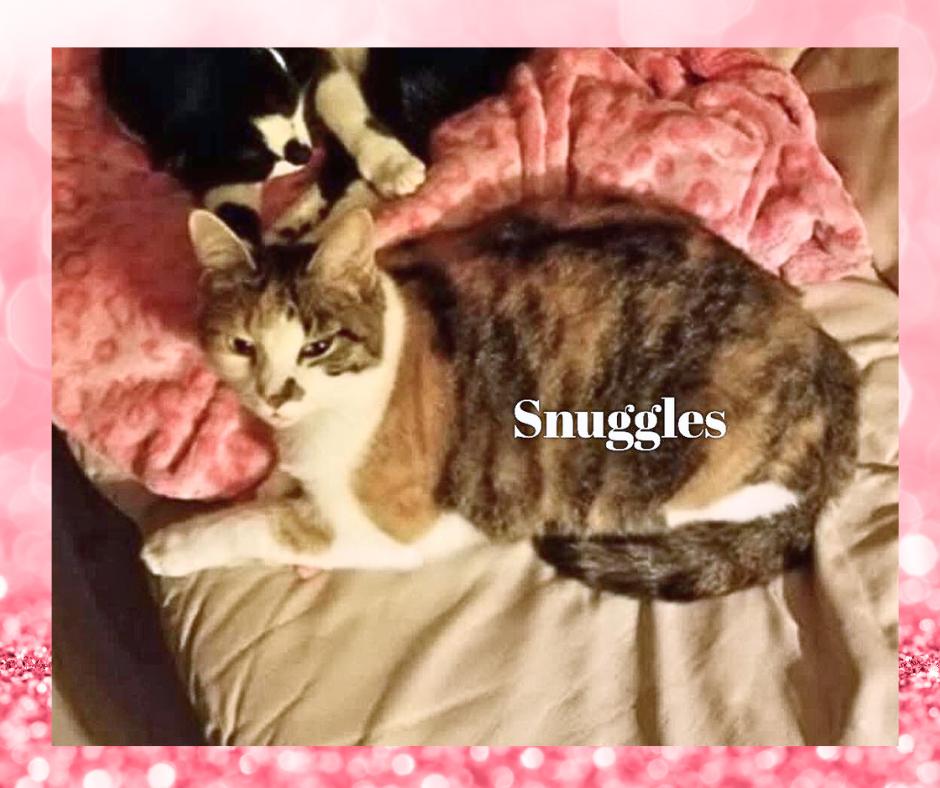 Snuggles (w/Sammy)
