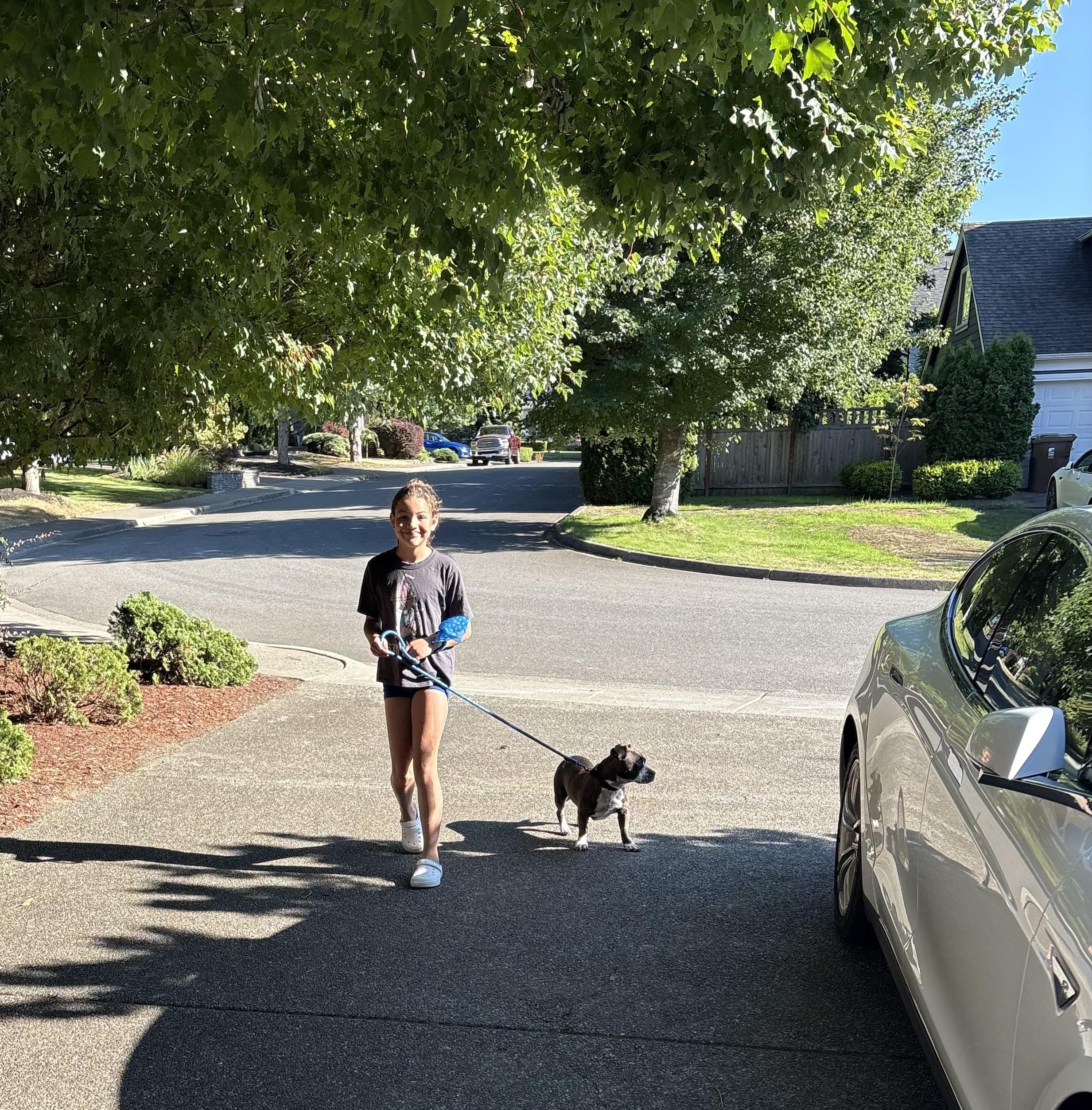 Madame Ali, an adopted mixed breed in Lacey, WA image 5/5