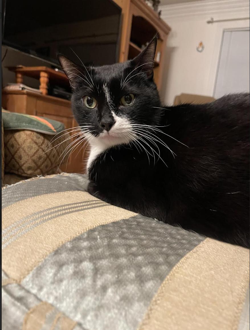 Pluto (Courtesy Post)