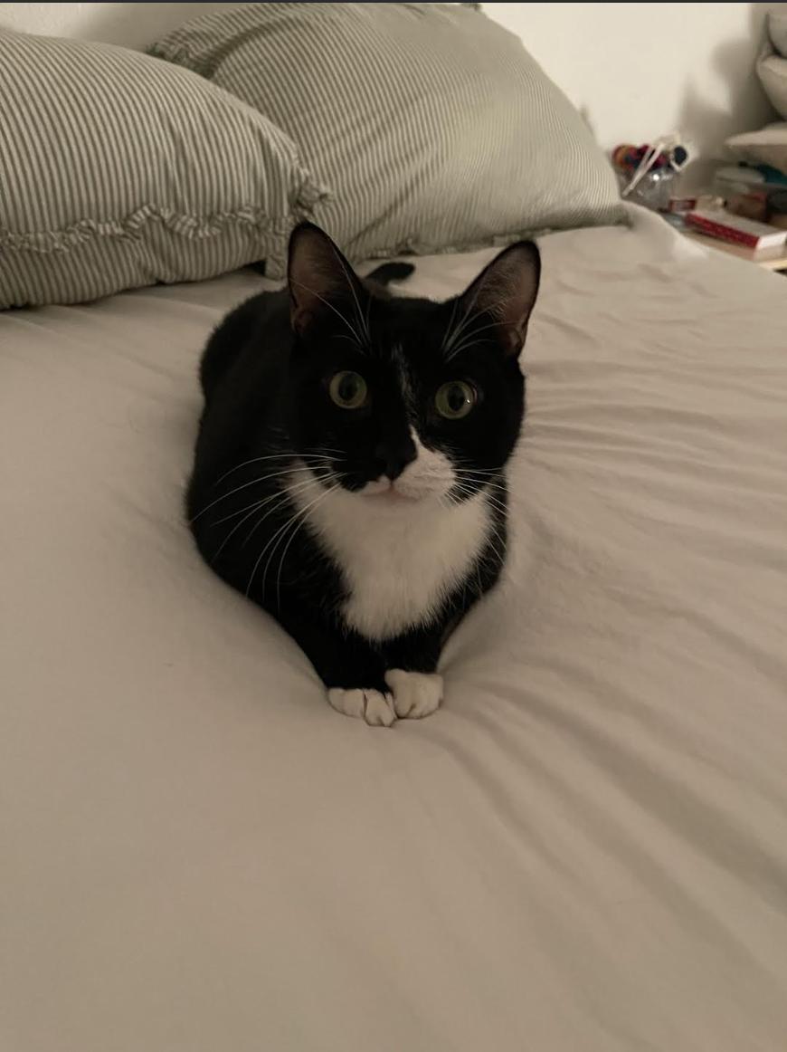 Pluto (Courtesy Post) — thumbnail 2