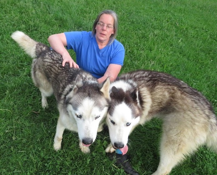Hank and Nubb (bonded pair), a Adoptable mixed breed in Clinton, ME image 3/6