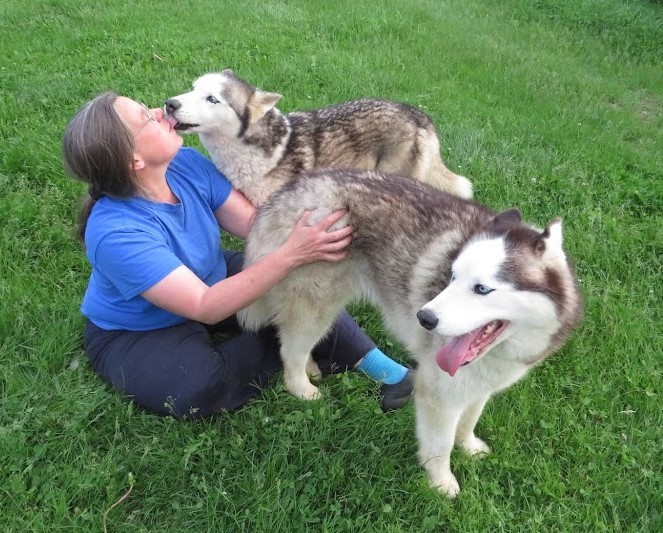 Hank and Nubb (bonded pair), a Adoptable mixed breed in Clinton, ME image 2/6