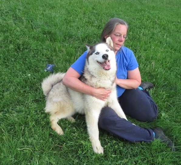 Hank and Nubb (bonded pair), a Adoptable mixed breed in Clinton, ME image 6/6