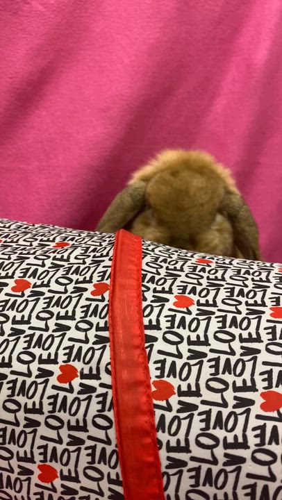 Enlarge Lemon Shortbread, a ADOPTABLE Mini Lop in Livermore, CA video 2/4