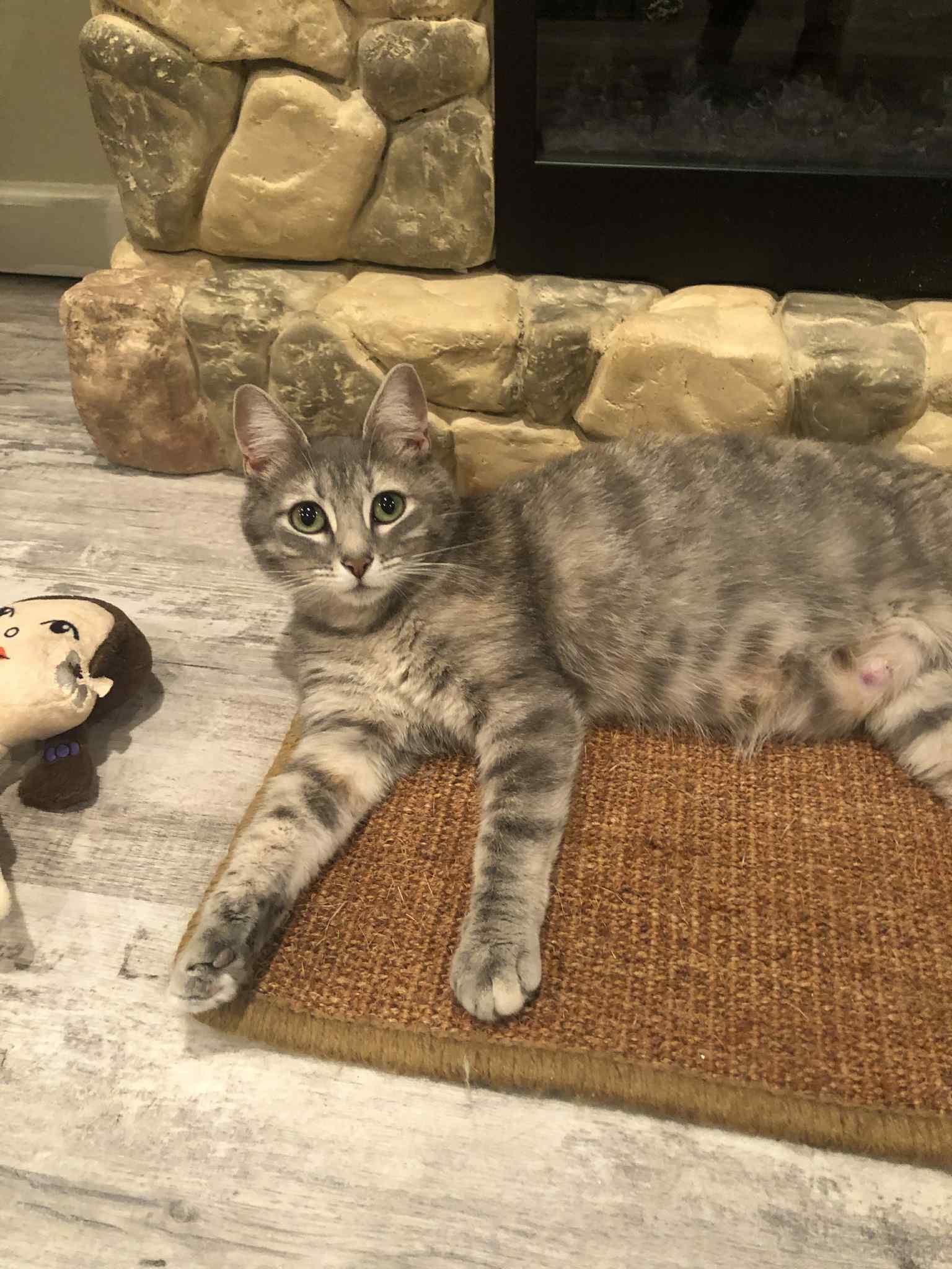 Heidi