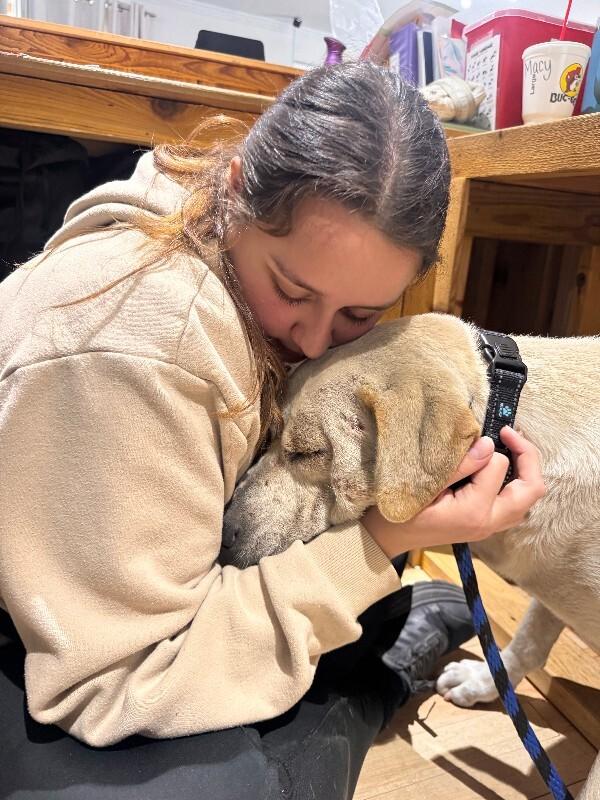 Sterling Bear the Certified Lover Boy — thumbnail 4