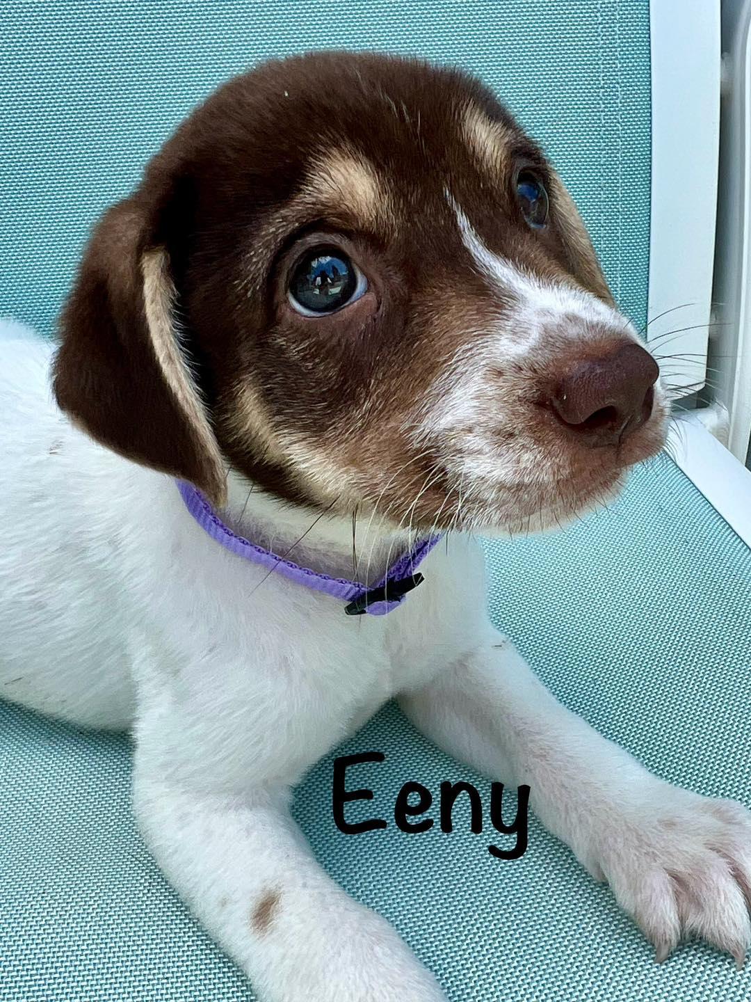 Eeny, Baby Female unknown