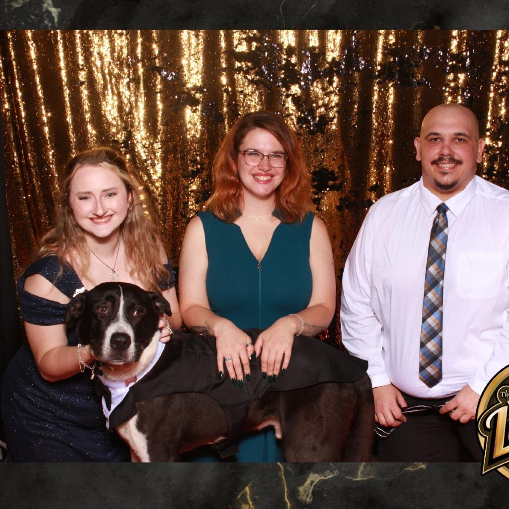 Champ, a Adoptable Saint Bernard in Lufkin, TX image 5/5