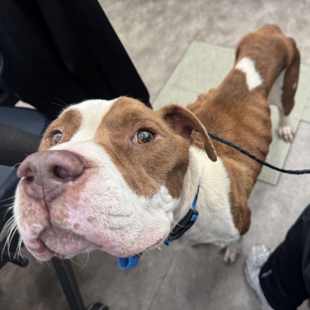 Harry — thumbnail 2