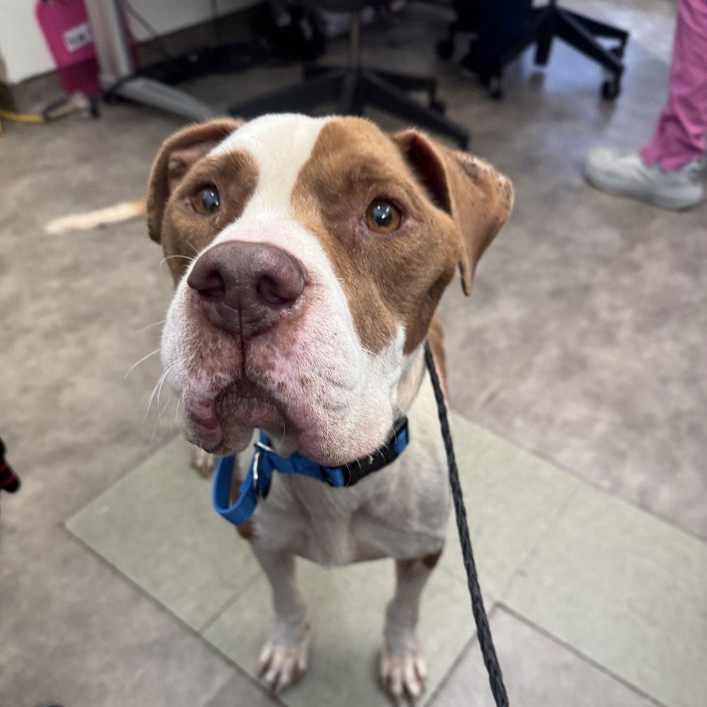 Harry — thumbnail 3