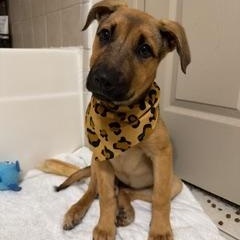 Aubrey — thumbnail 5