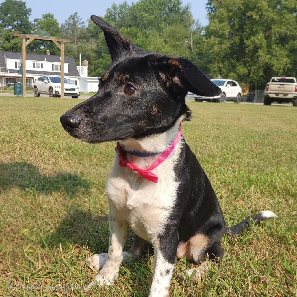 Nyla photo 2