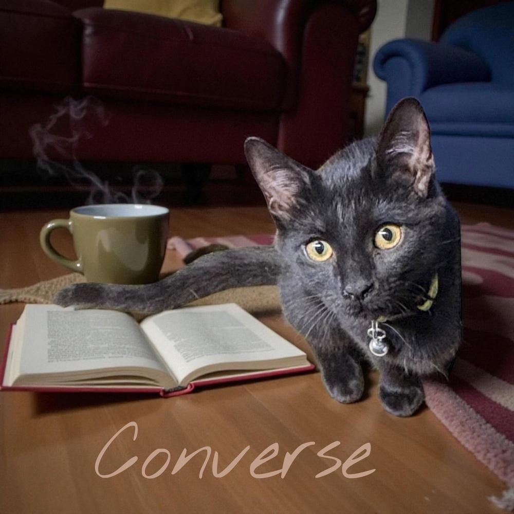 Enlarge Converse, a Adoptable mixed breed in Bellevue, NE image 1/4