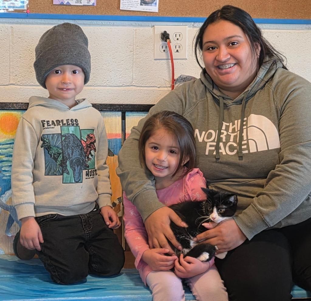 Enlarge Callie, a Adoptable mixed breed in Gold Beach, OR image 2/2