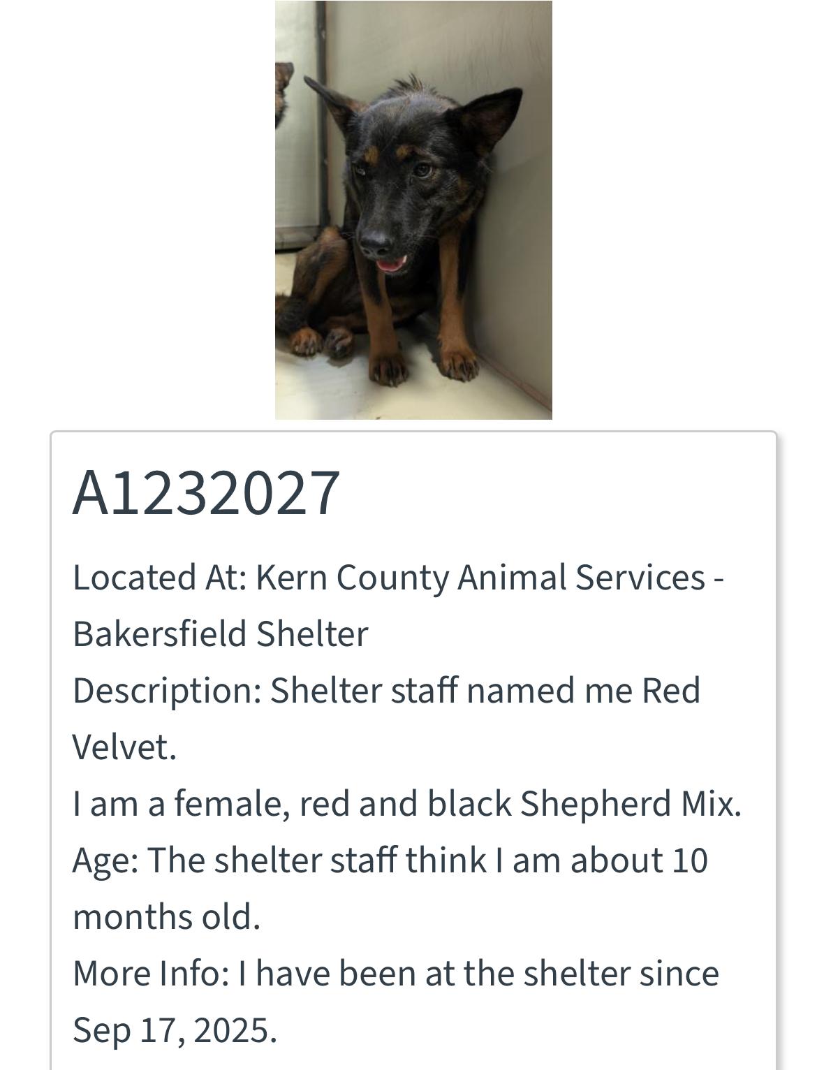 Red Velvet -- URGENT!! OUT OF TIME!!