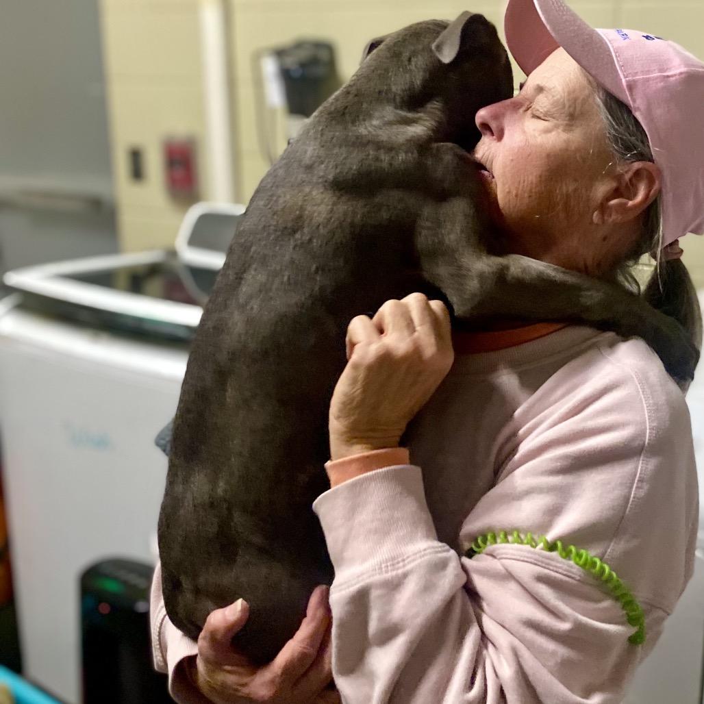 Rose 8876 — thumbnail 2