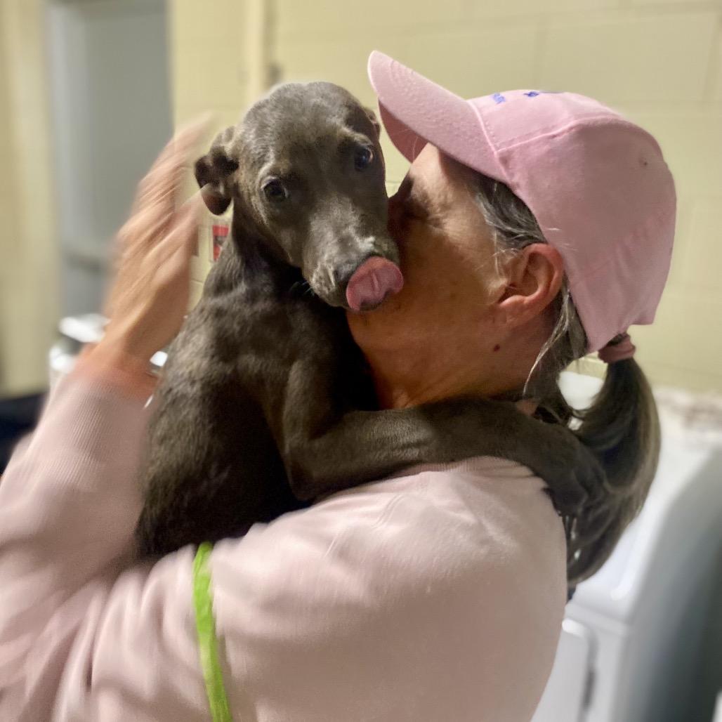 Rose 8876 — thumbnail 5