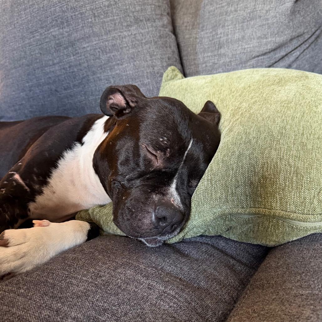 Tatiana — thumbnail 5