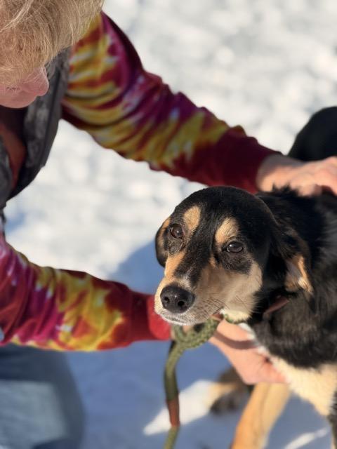 Scrappy Doo thumbnail 2