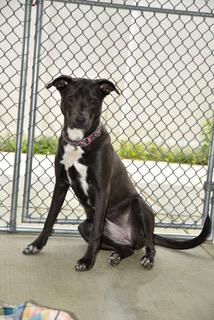 Zoey Bean photo 2