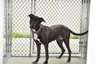 Zoey Bean photo 3