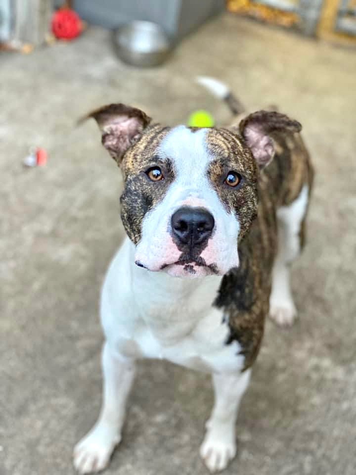 Luigi photo 4