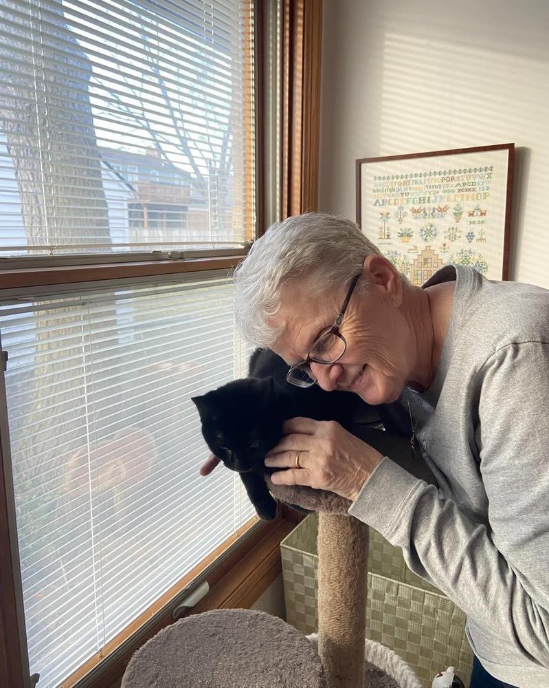 Enlarge Tasha, a Adoptable mixed breed in Grand Rapids, MI image 3/6