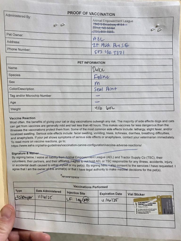 Enlarge Duke, a Adopted mixed breed in Minot, ND image 3/6