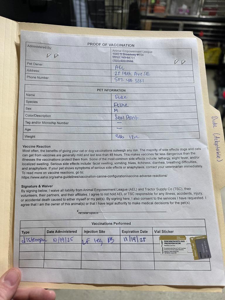 Enlarge Duke, a Adopted mixed breed in Minot, ND image 4/6