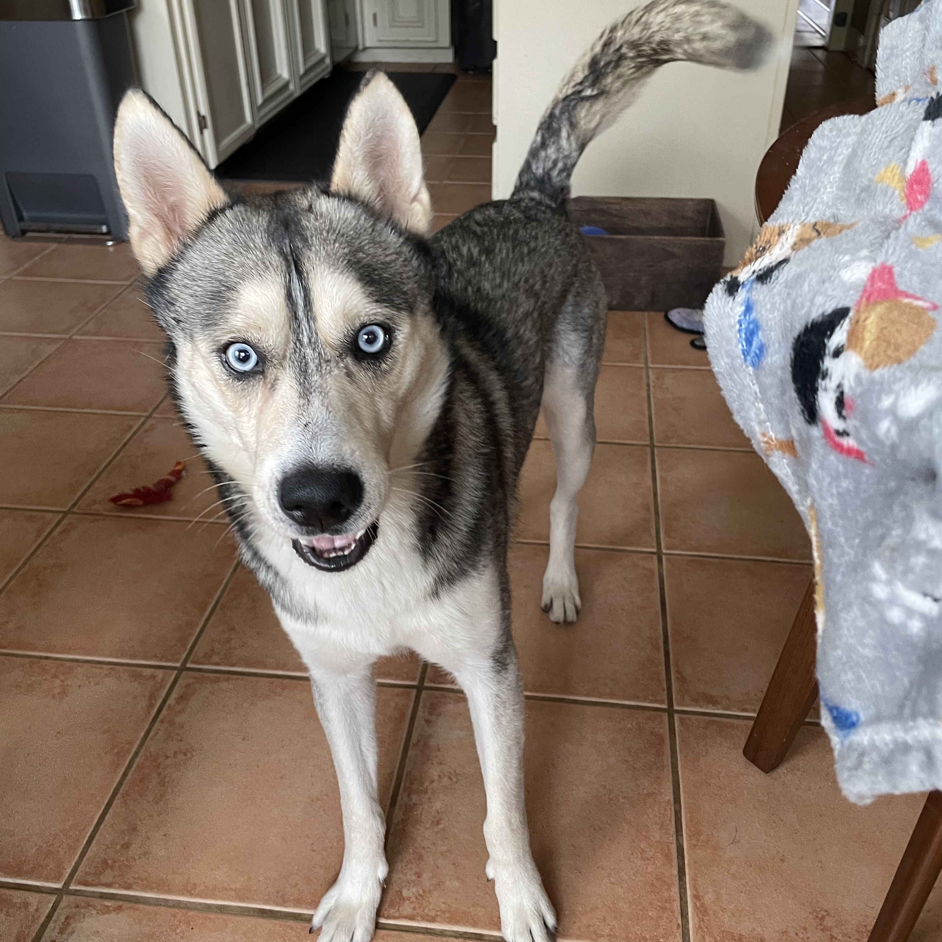 MICHAEL — thumbnail 2