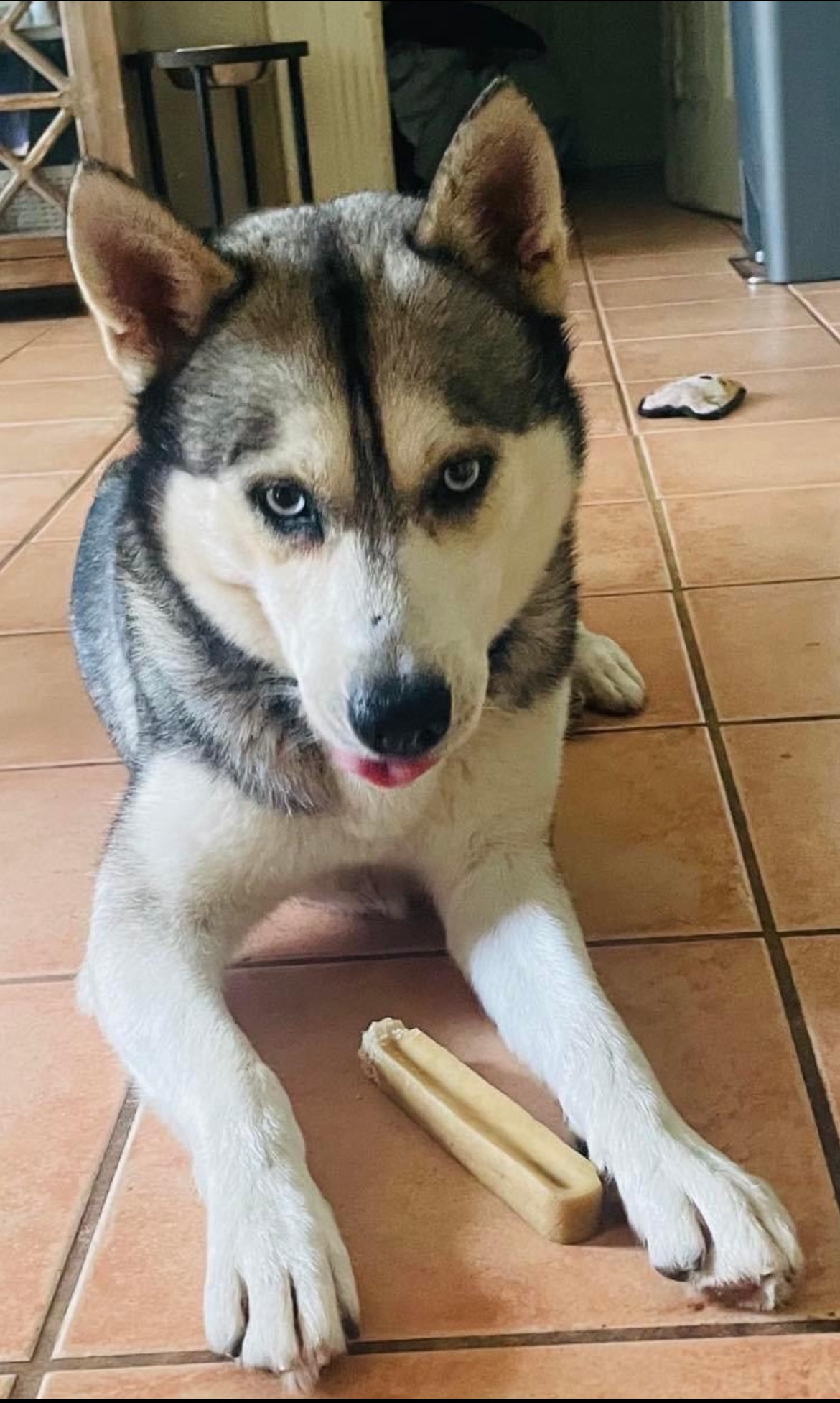 MICHAEL — thumbnail 3