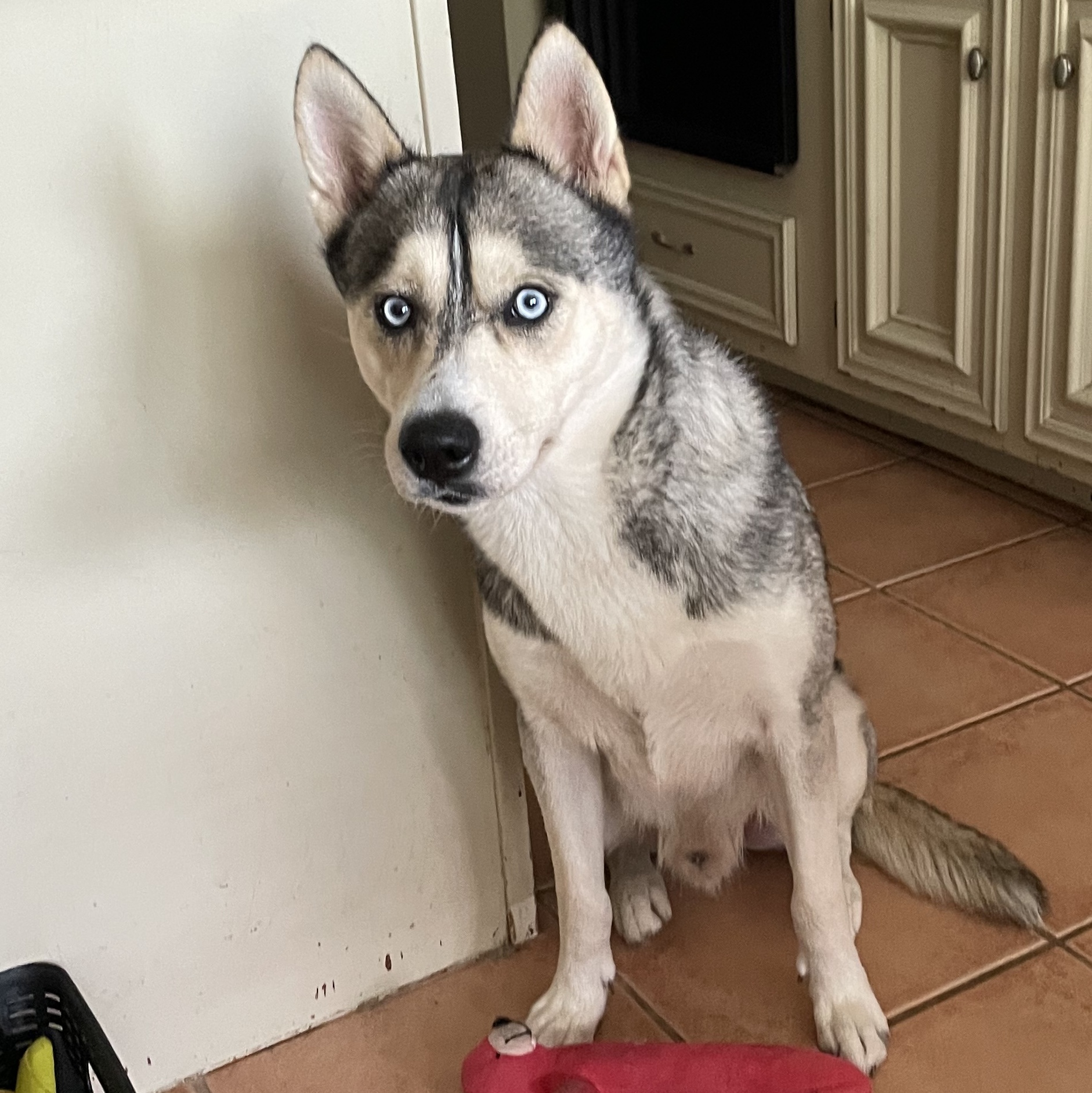 MICHAEL — thumbnail 4