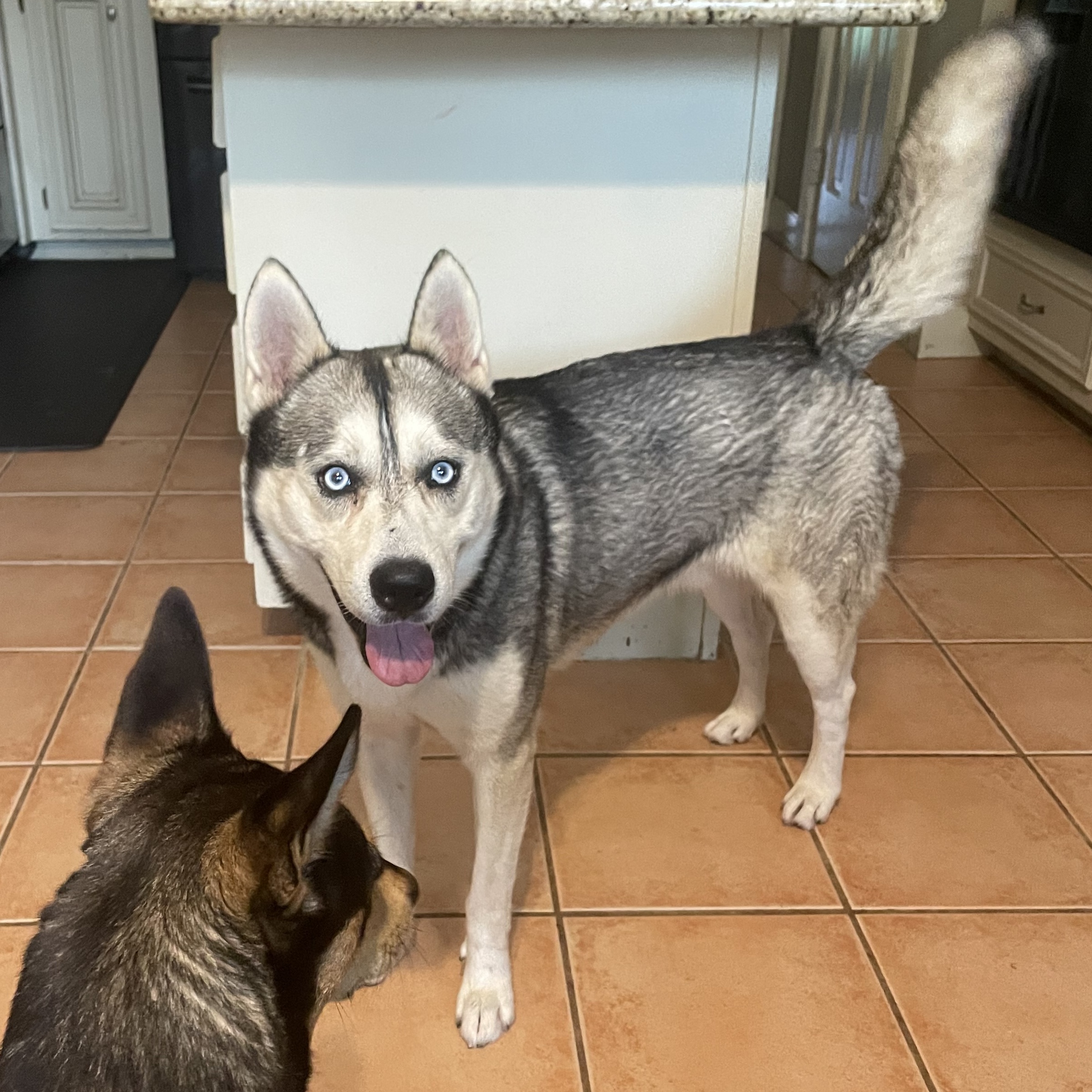 MICHAEL — thumbnail 5