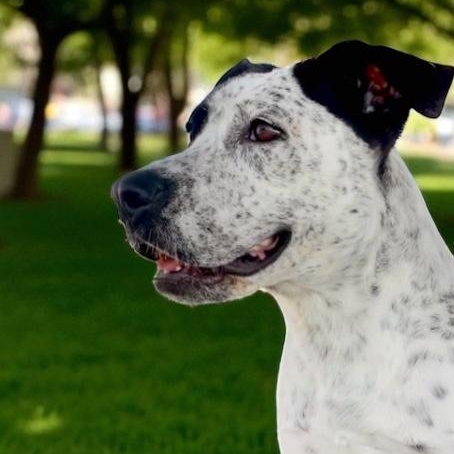 Lucy — thumbnail 2