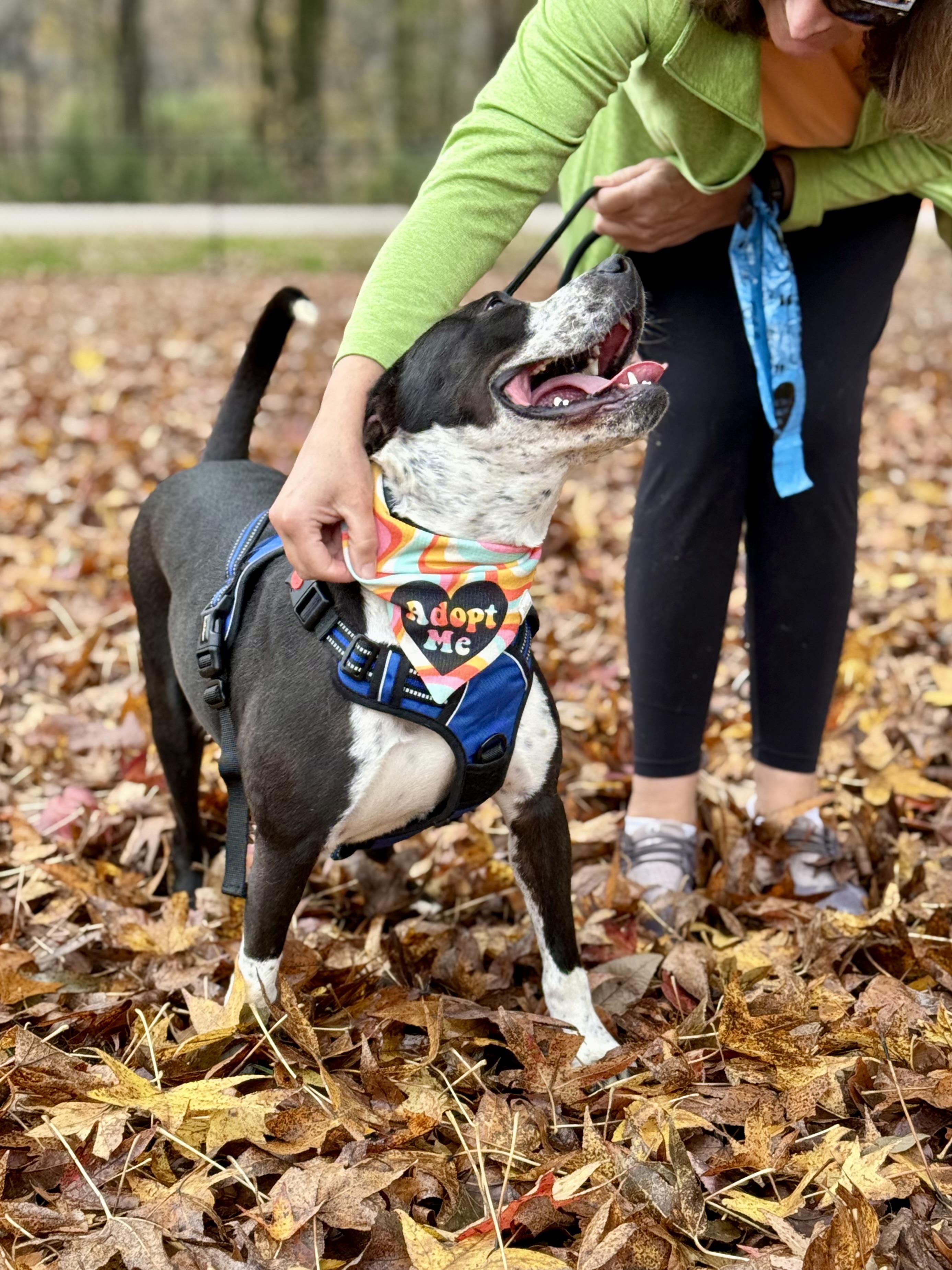 Lucy — thumbnail 4