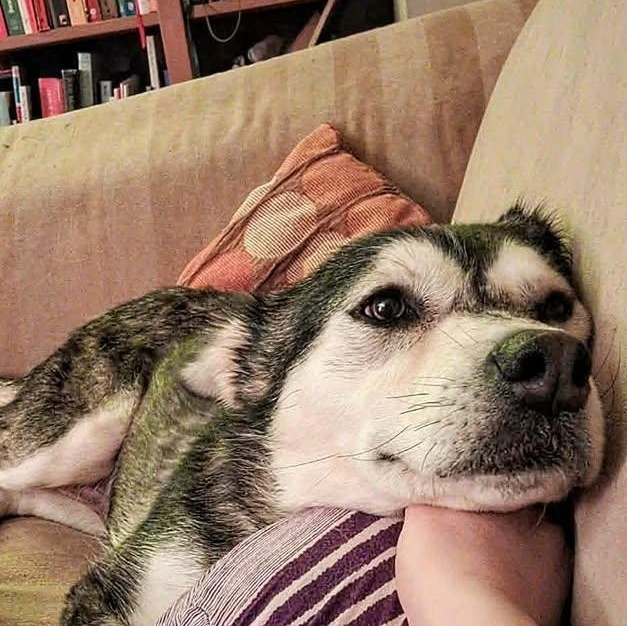 Lorelei (20260216-10)