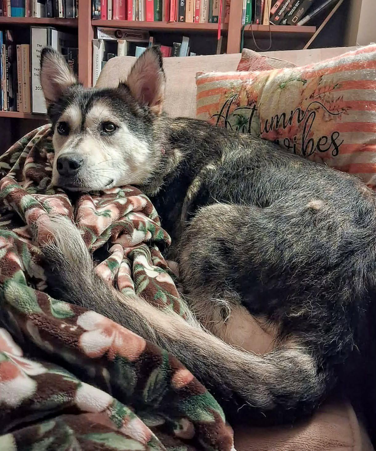 Lorelei (20260216-10) — thumbnail 3