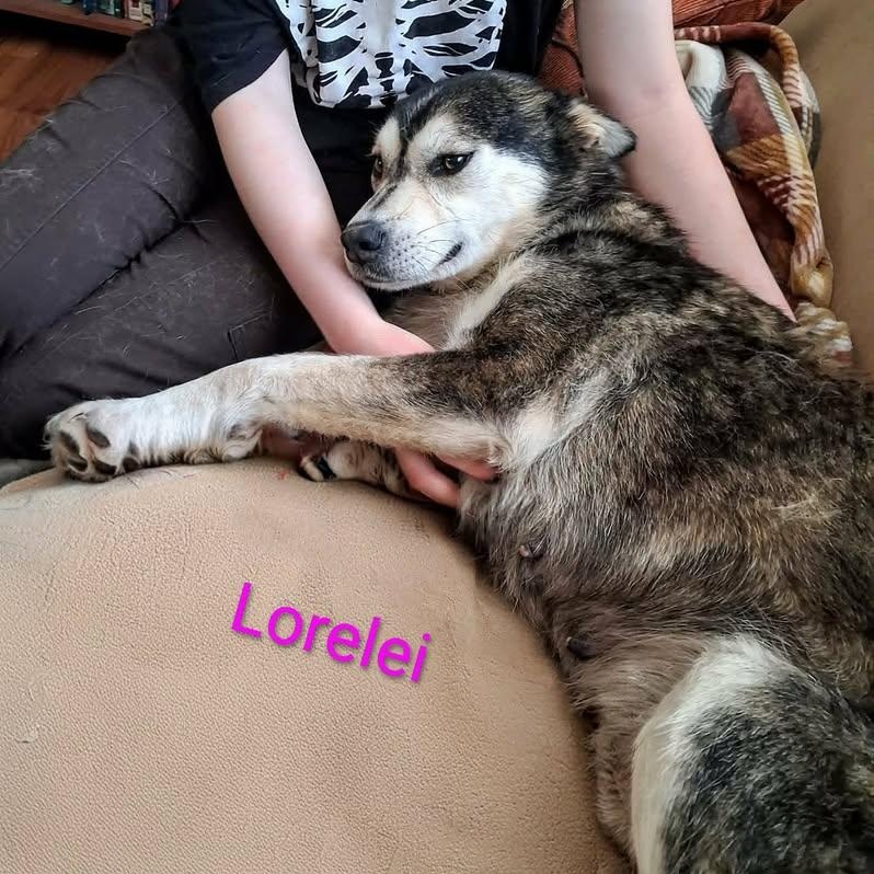 Lorelei (20260216-10) — thumbnail 4